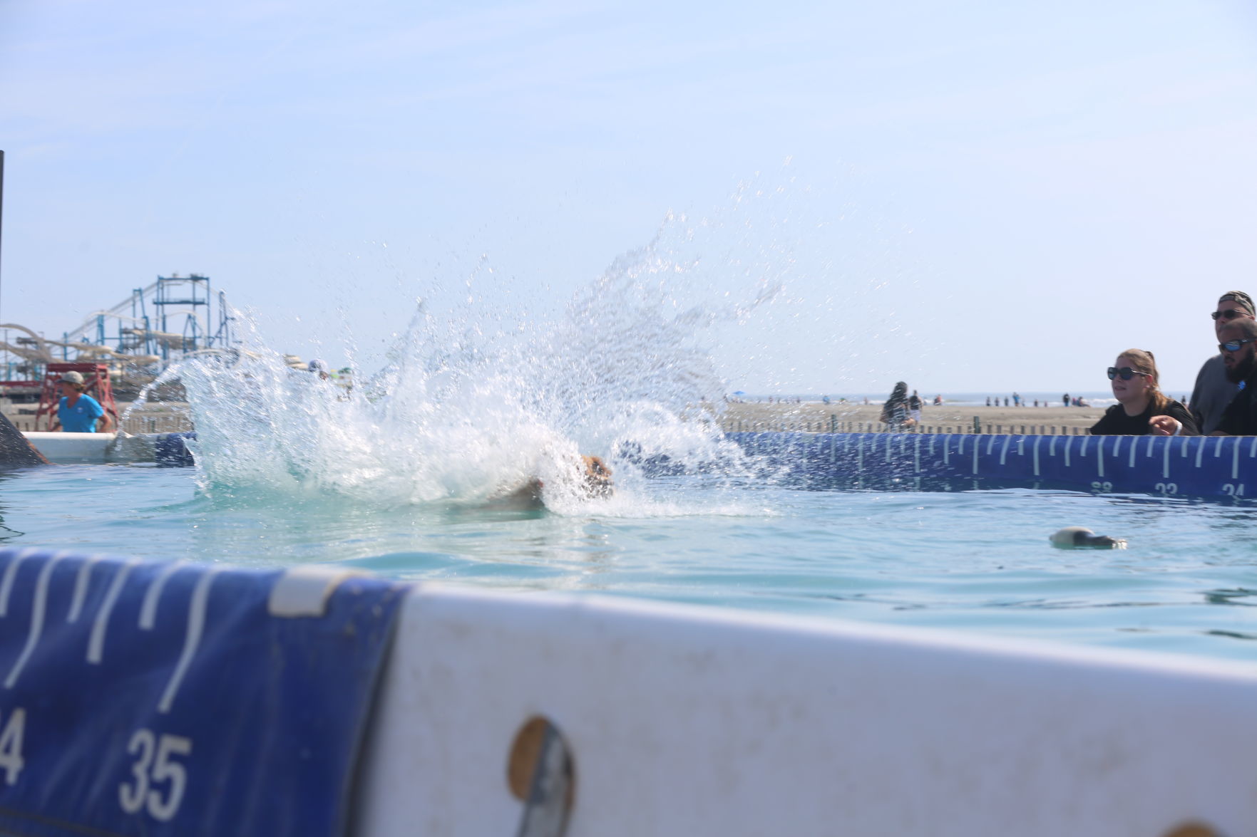 090919_gal_dockdogsWW (10)
